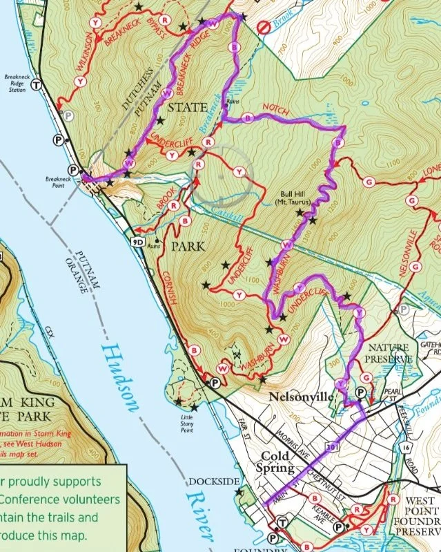 Cold Spring (New York) — Lose Reception
